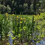 Apartmán Chez Natalli