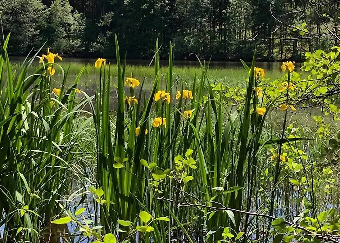 Apartmán Chez Natalli